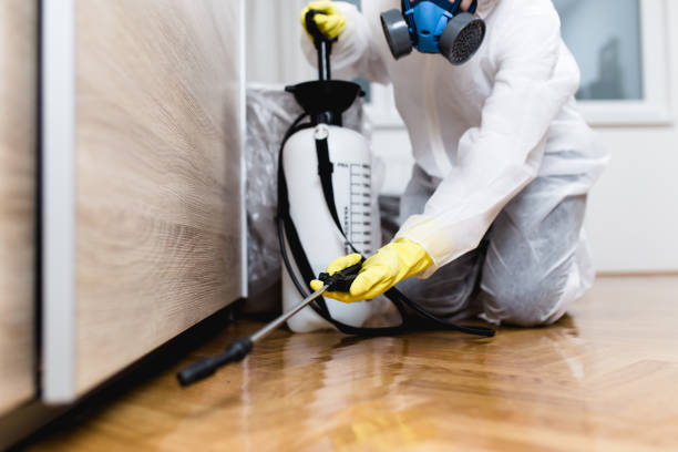 Best Pest Inspection Near Me  in Orion, IL