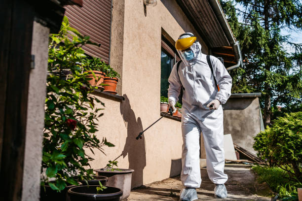 Best Cockroach Control Services  in Orion, IL