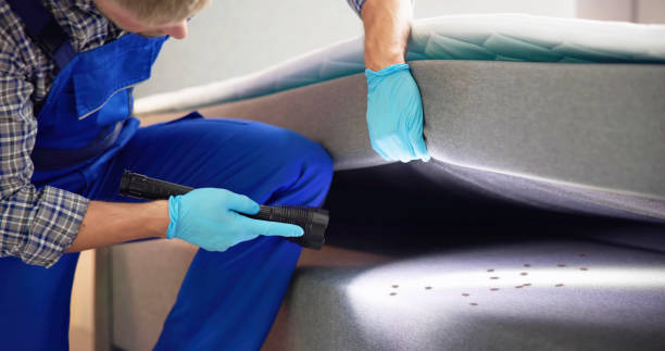 Best Pest Control Near Me  in Orion, IL
