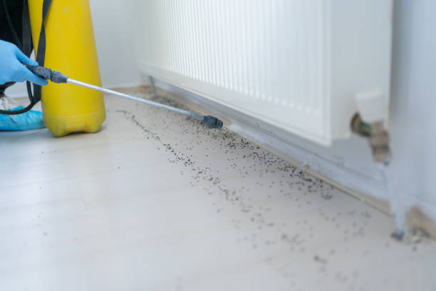 Best Pest Prevention Services  in Orion, IL