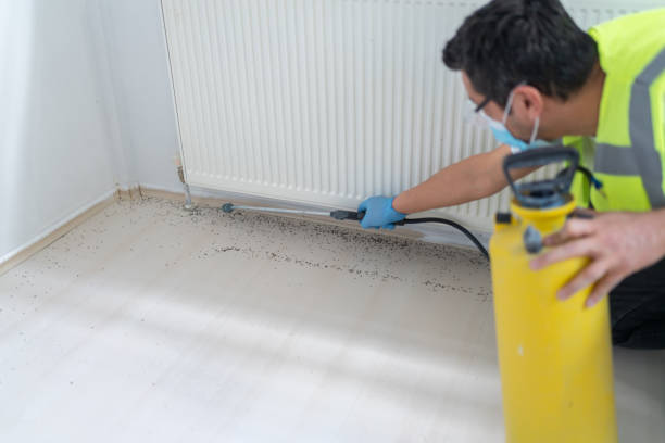 Best Cockroach Control Services  in Orion, IL