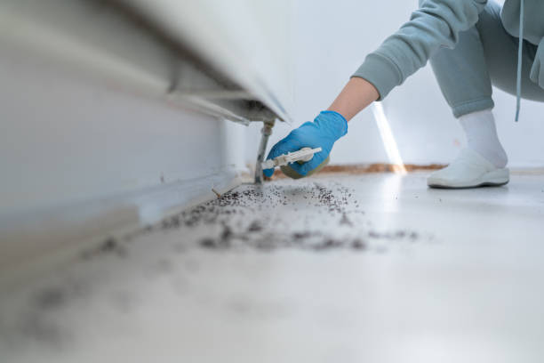 Best Ant Control Services  in Orion, IL