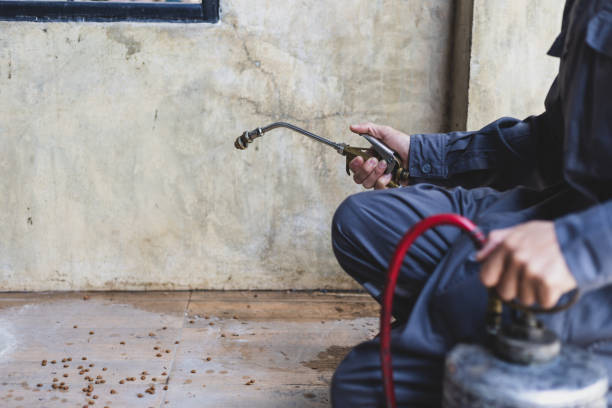 Best Rat Extermination Near Me  in Orion, IL